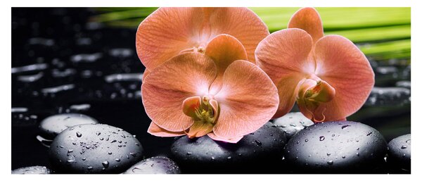 Slika - Narančasta orhideja s palminim lišćem (120x50 cm)