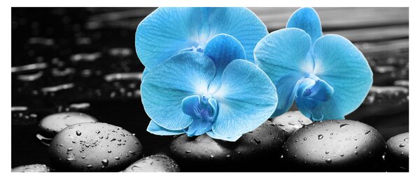 Slika - Plava orhideja (120x50 cm)