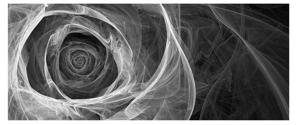 Slika - Crno-bijela apstraktna ruža (120x50 cm)