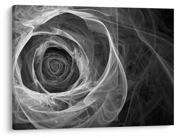 Slika - Crno-bijela apstraktna ruža (70x50 cm)