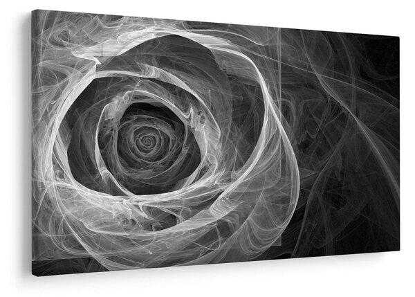 Slika - Crno-bijela apstraktna ruža (90x60 cm)