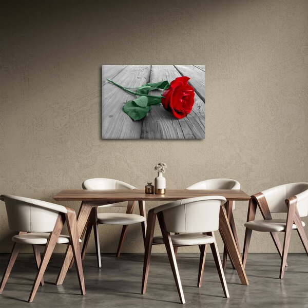 Slika - Crvena ruža sa zelenom stabljikom (70x50 cm)