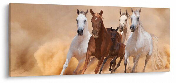Slika - Krdo konja (120x50 cm)