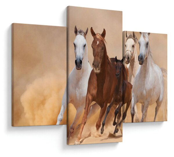 Slika - Krdo konja (90x60 cm)