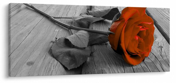 Slika - Narančasta ruža (120x50 cm)
