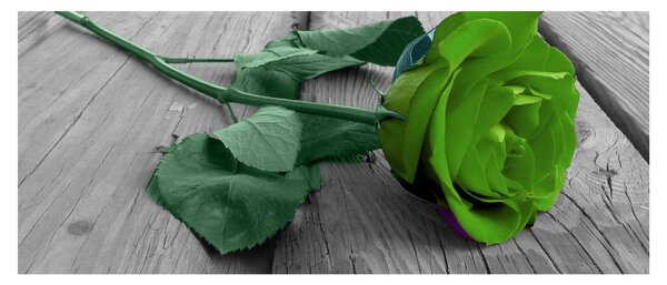 Slika - Zelena ruža (120x50 cm)