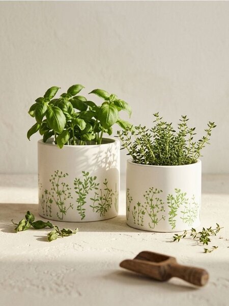 Sinsay - Tegla za biljke 2 pack