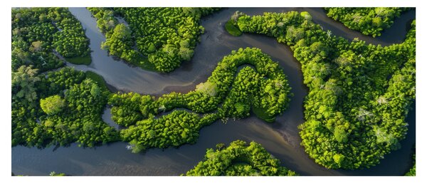 Slika - Šumski krajolik s rijekom (120x50 cm)