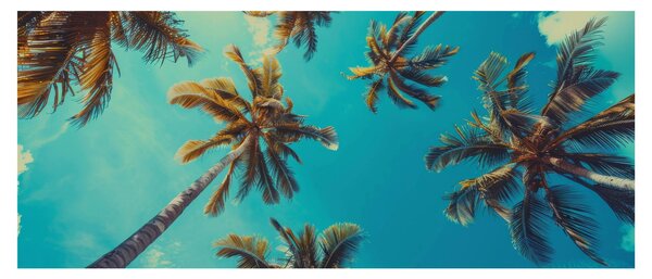 Slika - Visoke palme (120x50 cm)
