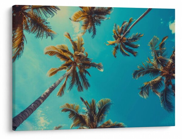 Slika - Visoke palme (70x50 cm)
