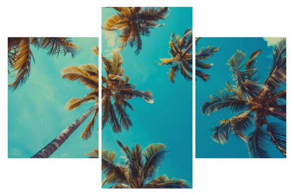 Slika - Visoke palme (90x60 cm)
