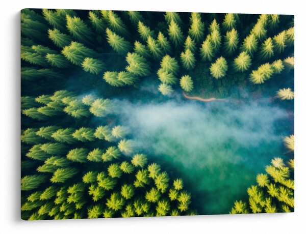 Slika - Šuma obavijena maglom (70x50 cm)