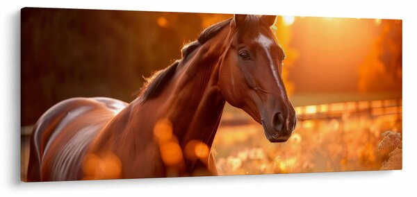 Slika - Konj u zalasku sunca (120x50 cm)