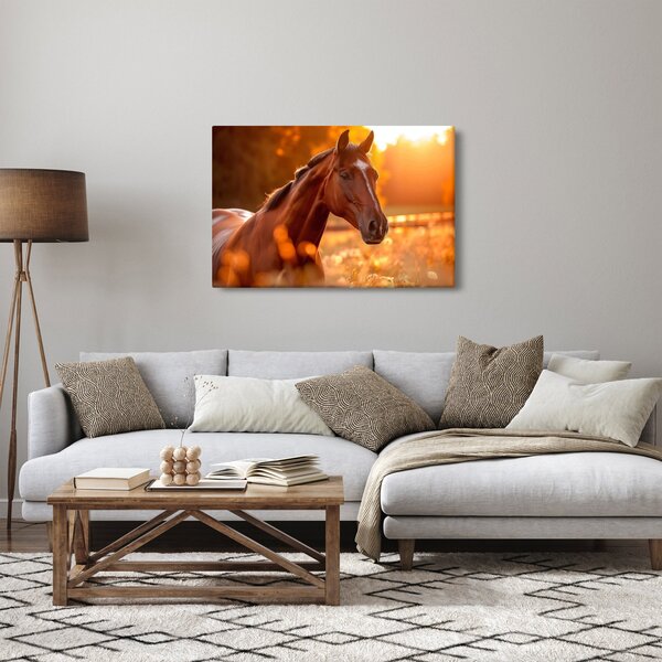 Slika - Konj u zalasku sunca (90x60 cm)