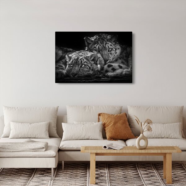 Slika - Gepardi koji se odmaraju (90x60 cm)