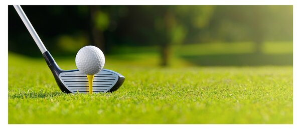 Slika - Golf (120x50 cm)
