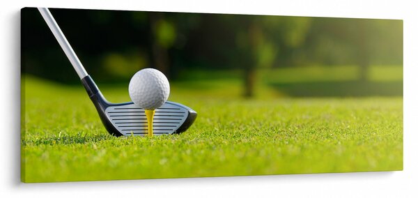 Slika - Golf (120x50 cm)