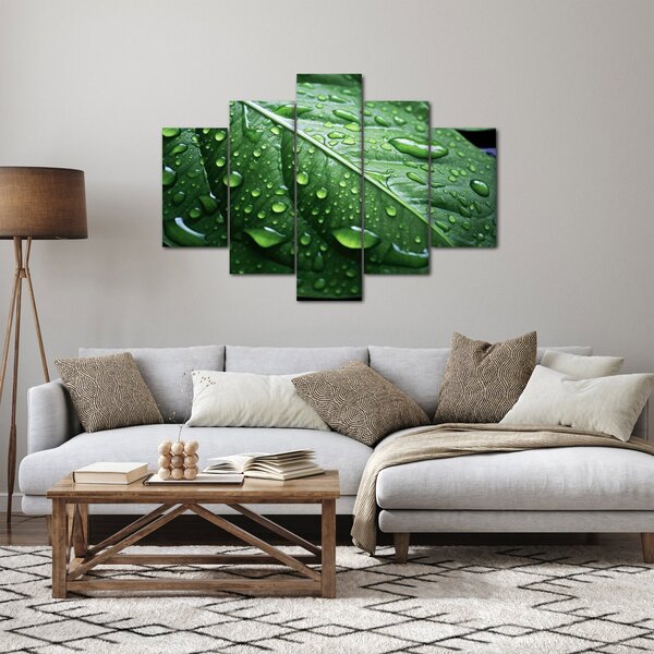 Slika - Detalj lista nakon kiše (150x105 cm)