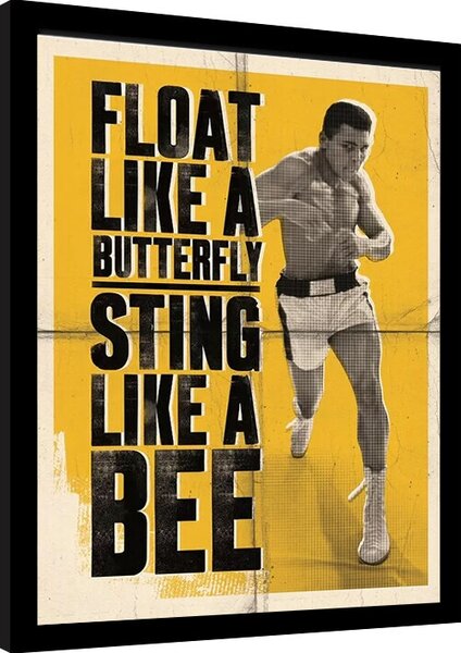 Slika na platnu Muhammad Ali - Float Like a Butterfly