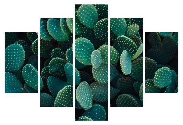 Slika - Opuntia (150x105 cm)