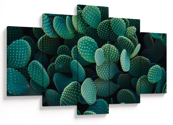 Slika - Opuntia (150x105 cm)