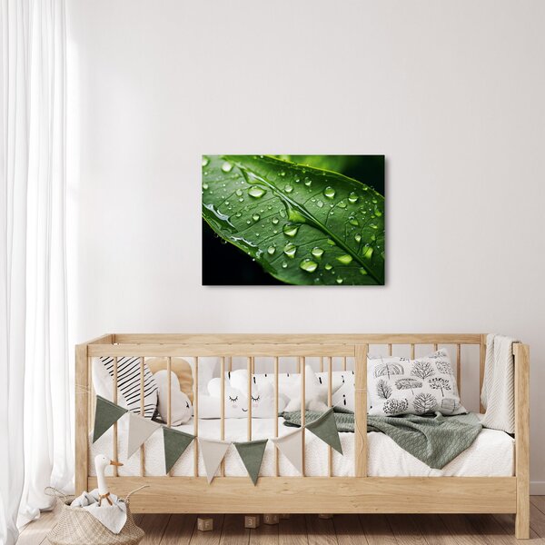 Slika - List poslije kiše (70x50 cm)