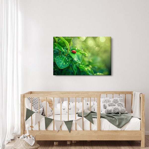 Slika - Bubamara (90x60 cm)