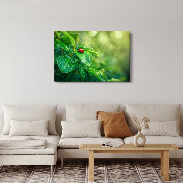 Slika - Bubamara (90x60 cm)