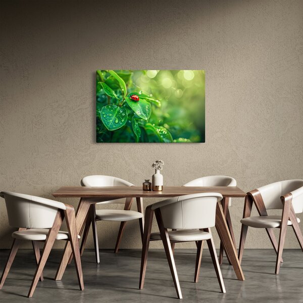 Slika - Bubamara (90x60 cm)