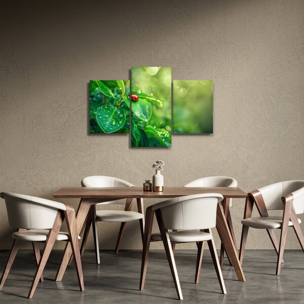 Slika - Bubamara (90x60 cm)