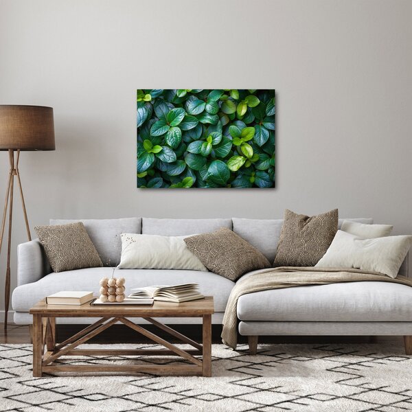 Slika - Zelene biljke (70x50 cm)