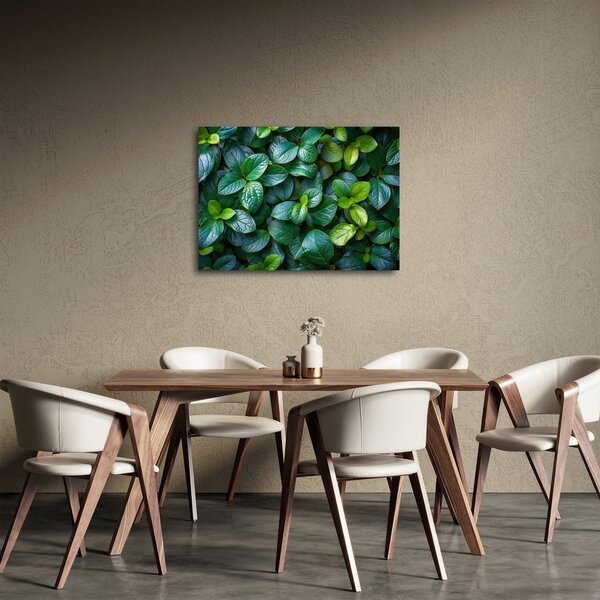 Slika - Zelene biljke (70x50 cm)