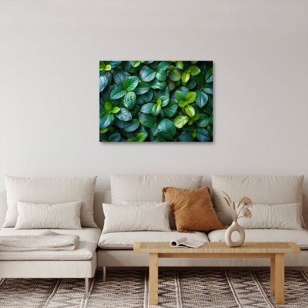 Slika - Zelene biljke (70x50 cm)