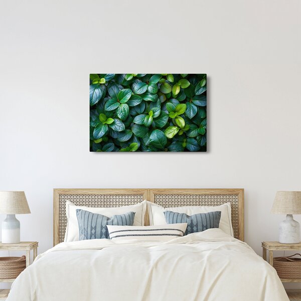 Slika - Zelene biljke (90x60 cm)