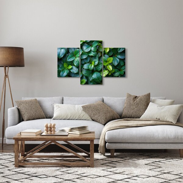 Slika - Zelene biljke (90x60 cm)