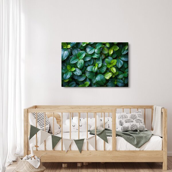 Slika - Zelene biljke (90x60 cm)