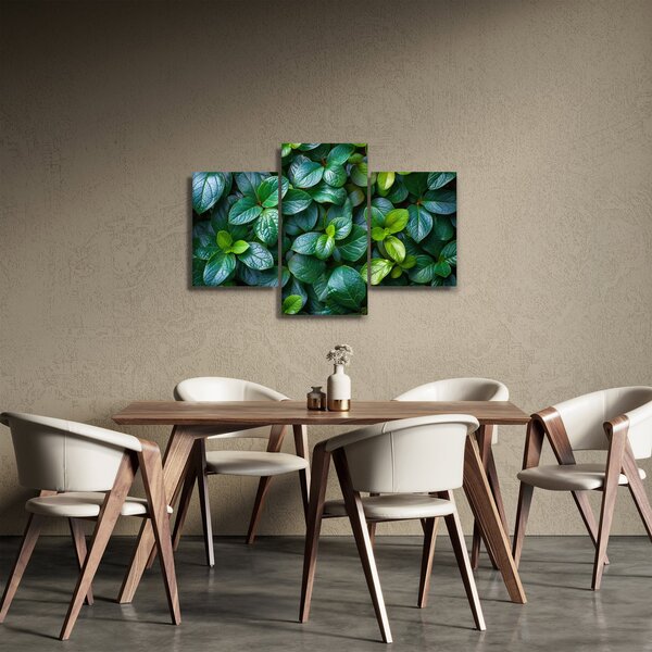 Slika - Zelene biljke (90x60 cm)