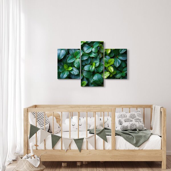 Slika - Zelene biljke (90x60 cm)