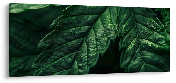 Slika - Detalj lista (120x50 cm)