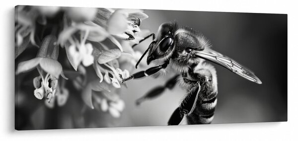 Slika - Detalj pčele (120x50 cm)