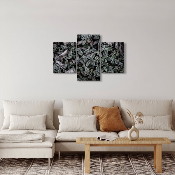 Slika - Smrznute biljke (90x60 cm)