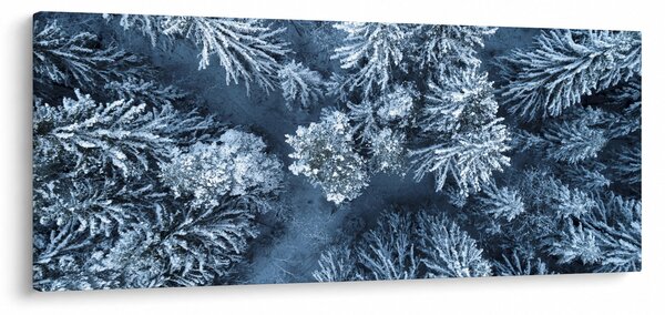 Slika - Snježna šuma (120x50 cm)