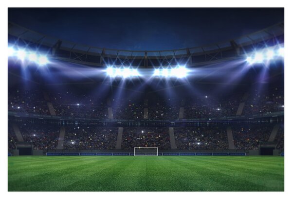 Slika - Nogometni stadion (90x60 cm)