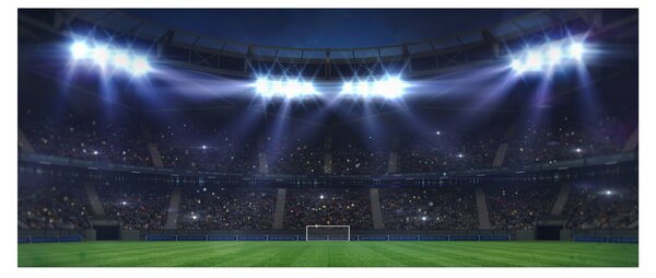 Slika - Nogometni stadion (120x50 cm)