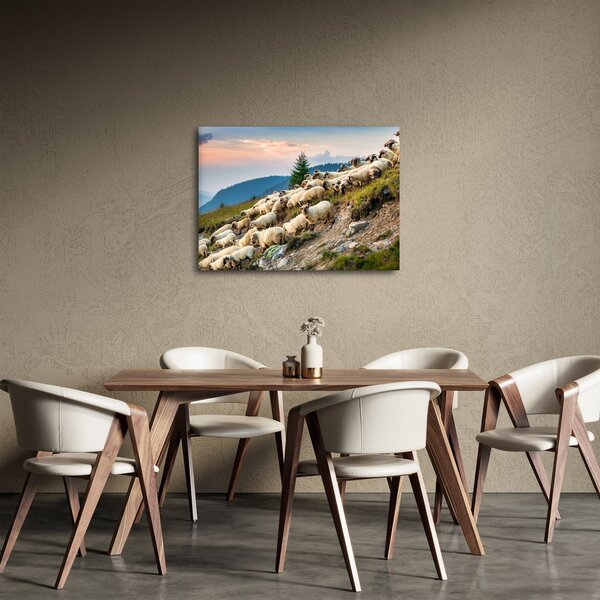 Slika - Stado ovaca (70x50 cm)