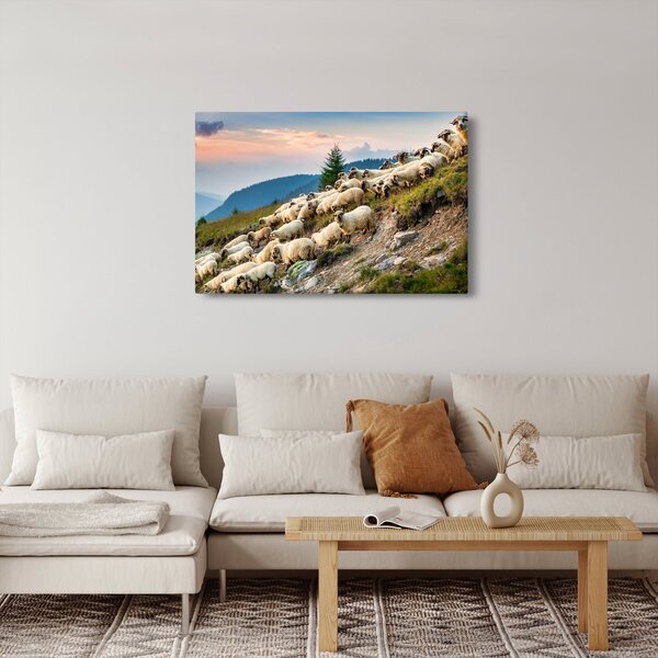 Slika - Stado ovaca (90x60 cm)