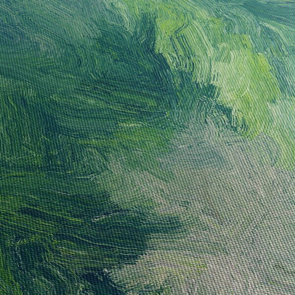 Slika - Slikane crnogorice (90x60 cm)