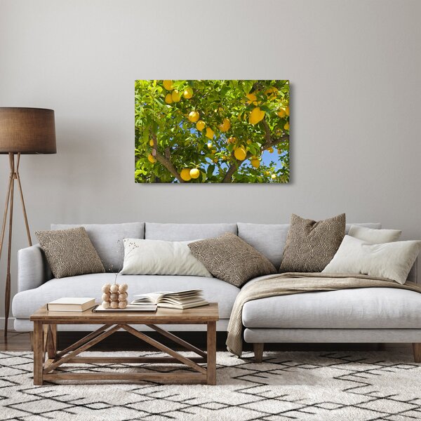 Slika - Limun (90x60 cm)