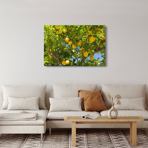 Slika - Limun (90x60 cm)