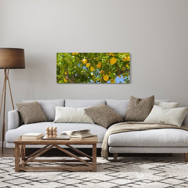 Slika - Limun (120x50 cm)